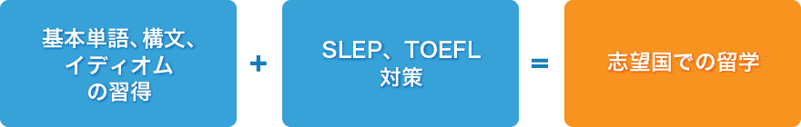 SLEP・TOEFL junior対策